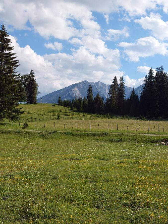 Sumski Raj Žabljak Exterior foto