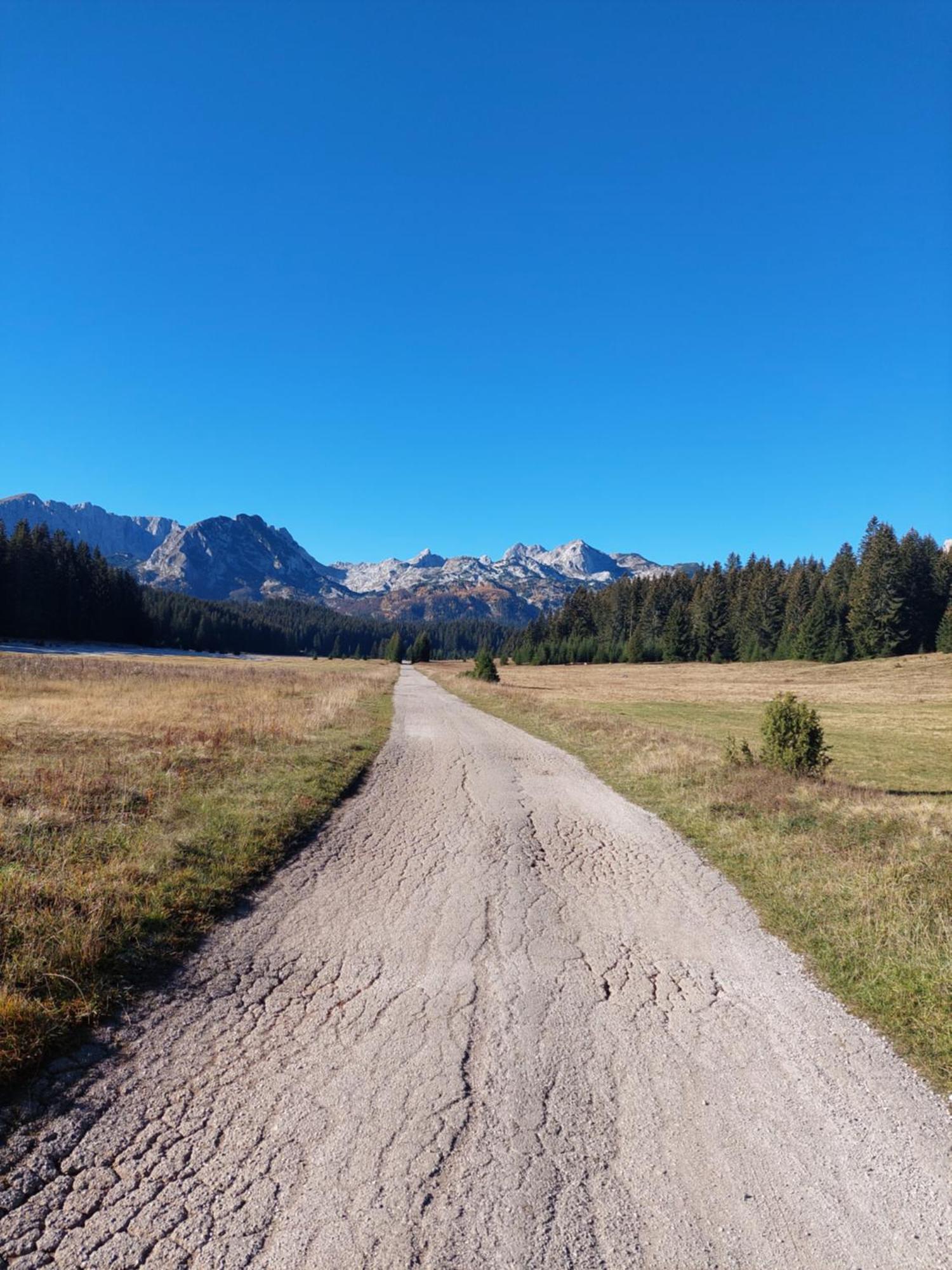 Sumski Raj Žabljak Quarto foto